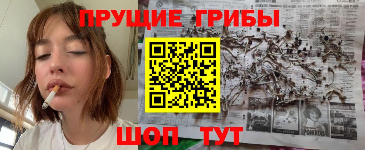 Галлюциногенные грибы Psilocybine cubensis Нягань